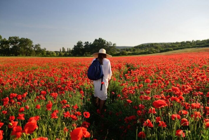 Campos de Amapola Polán y Toledo – 13 de Abril