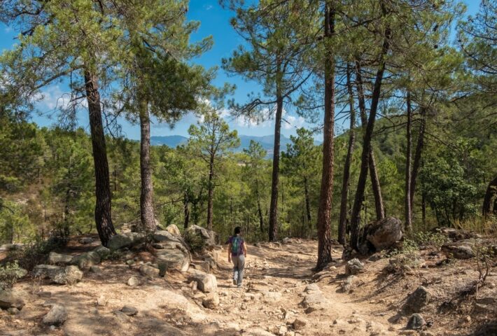 Cercedilla “Magical Forest & Viewpoint of Poets” May 5th