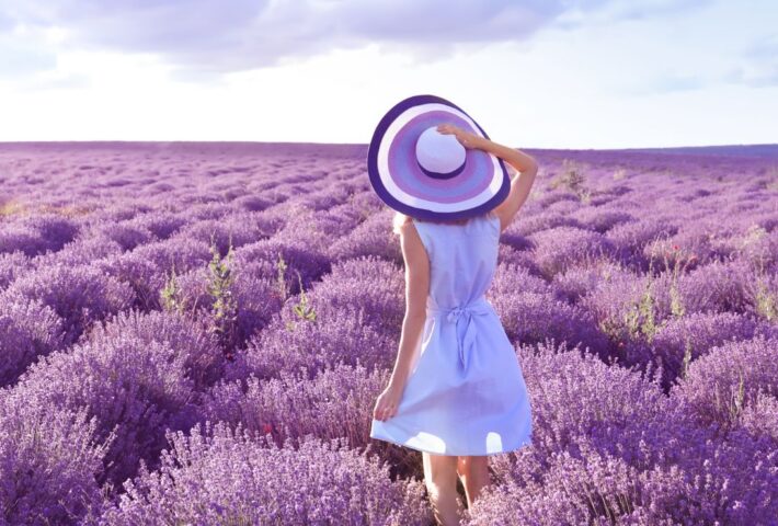 Excursion to The Lavender of Brihuega – July 10th