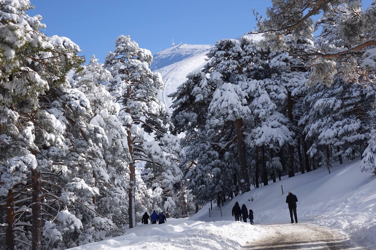 Un día de nieve en Cotos: en trineo a un paso de Madrid