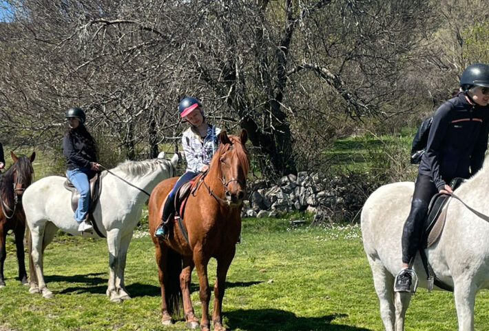 Horse Riding + Wine & Cheese – Sunday, April 21st