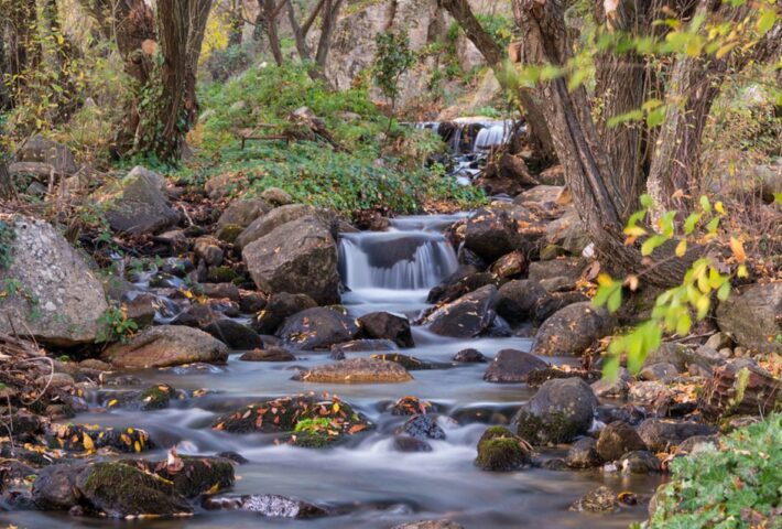 Miraflores de la Sierra «Ruta Otoñal» – Domingo 17 de noviembre