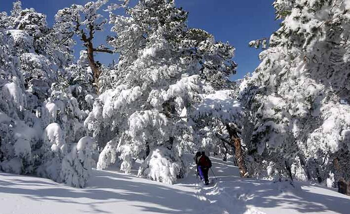 Excursión a la NIEVE: Puerto de Navacerrada y La Granja de San Ildefonso – Sábado 8 de Febrero