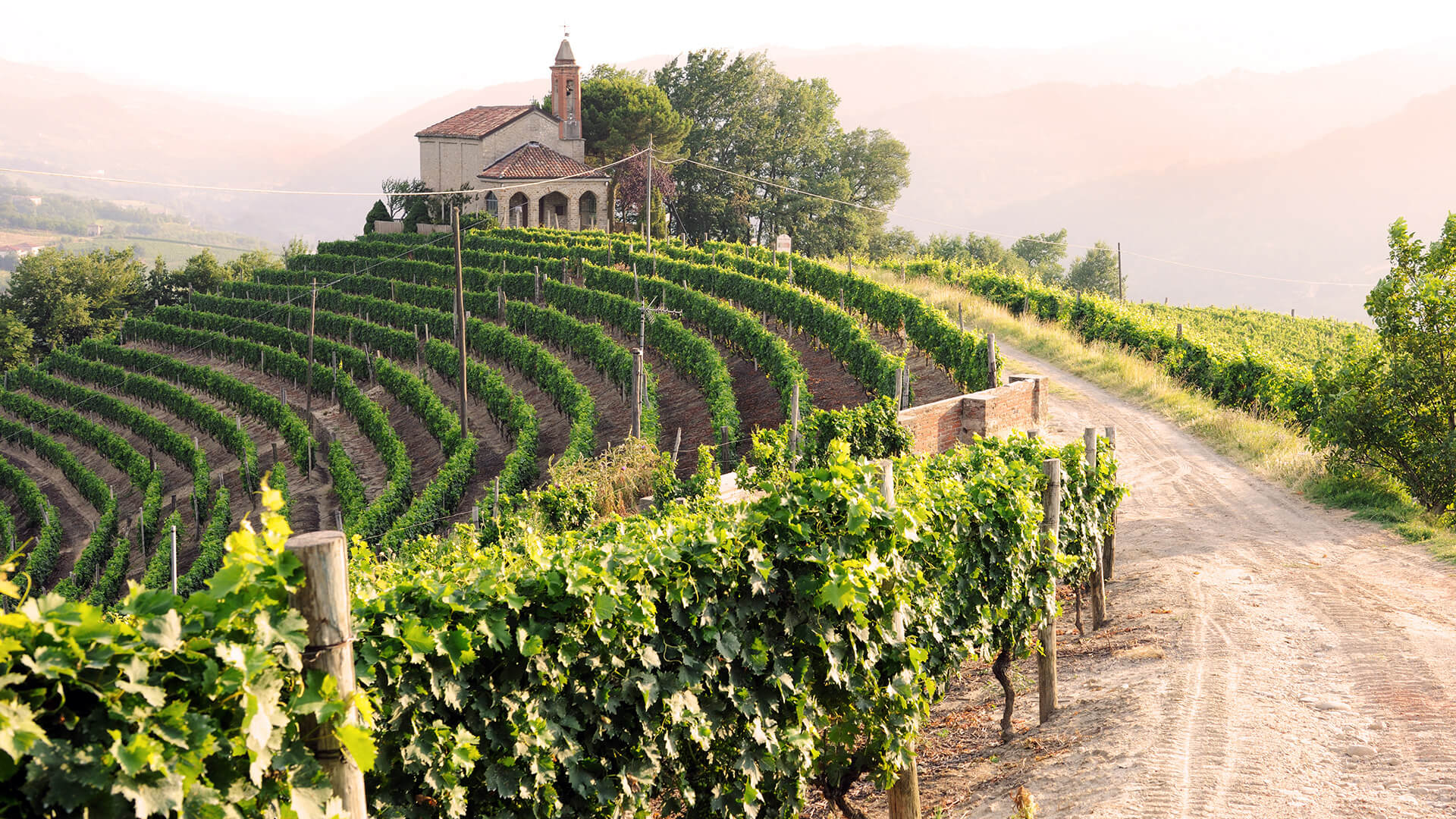 The Best Wine Regions in Spain