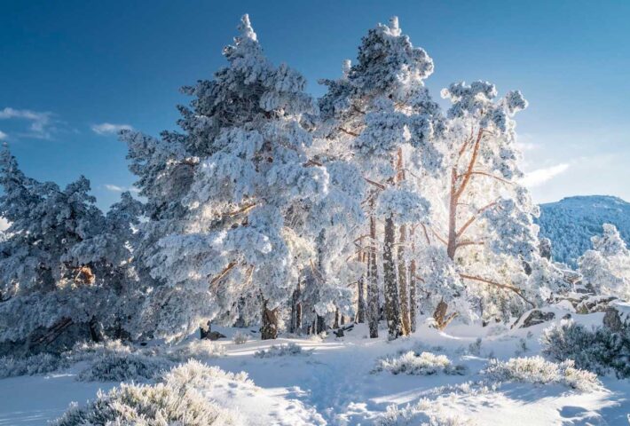 Excursión a la nieve: Navacerrada y La Granja de San Ildefonso – 29 de Marzo