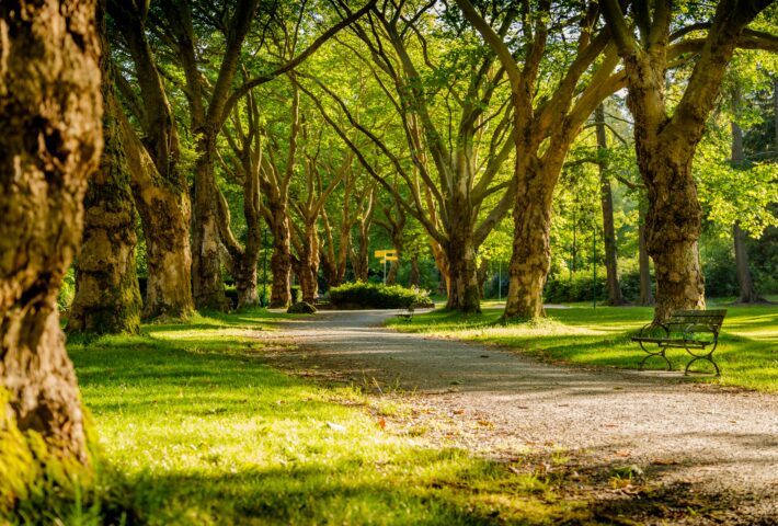 🌿Top 10 de los parques más bonitos de España🇪🇸