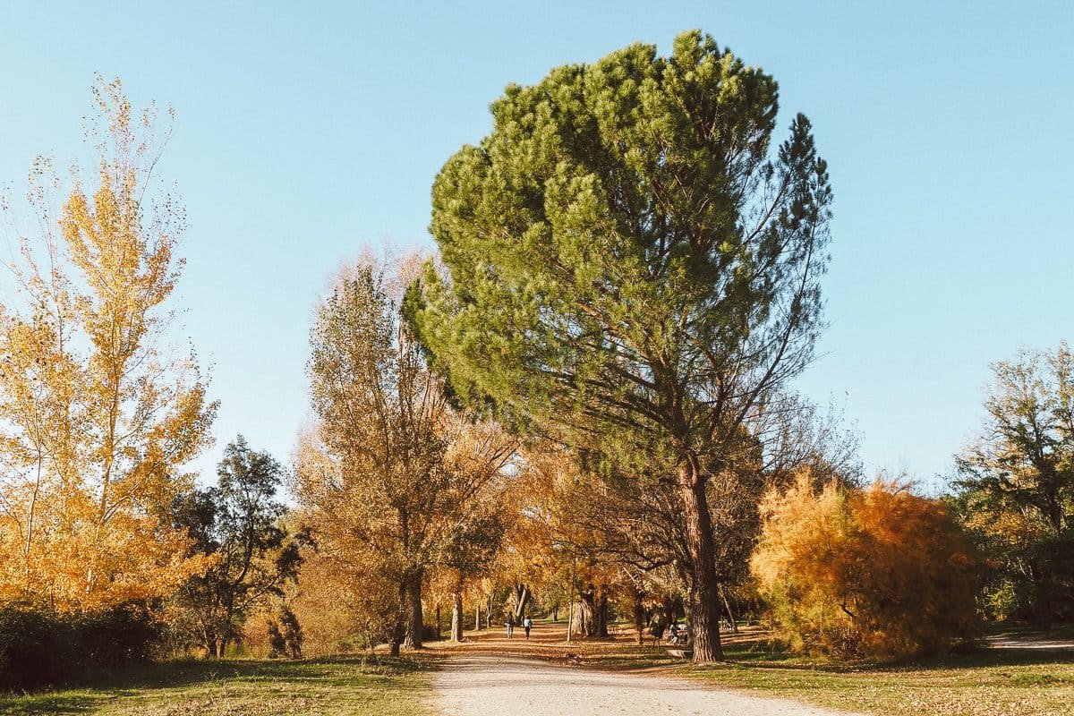 mejores-atardeceres-el-pardo-1-9
